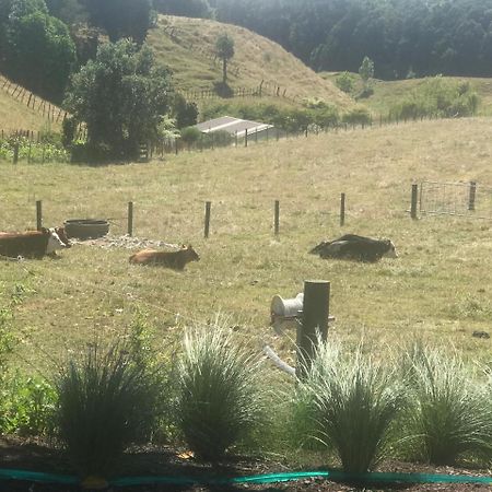 Pukeko Lodge Bnb New Plymouth Exterior foto
