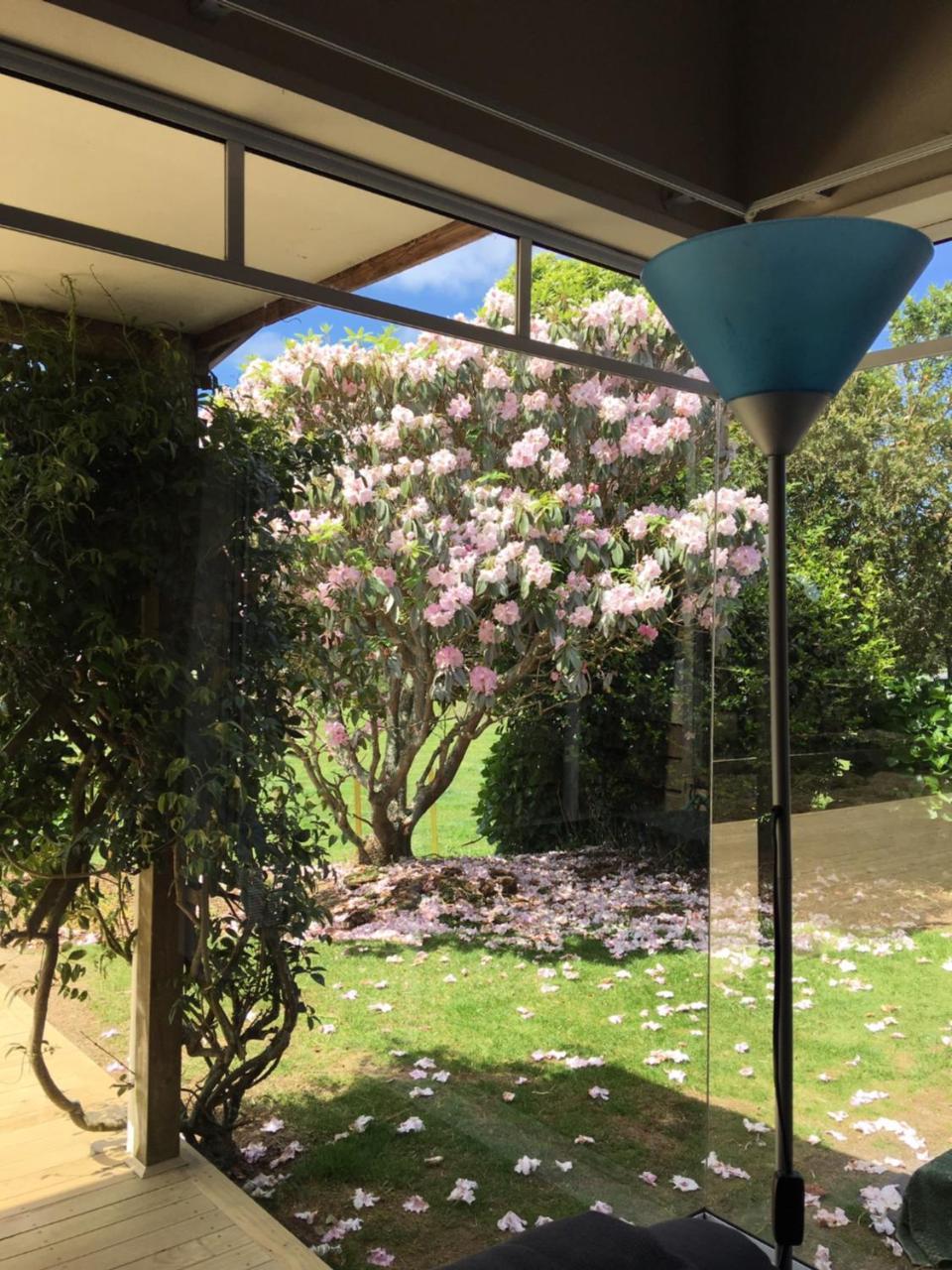 Pukeko Lodge Bnb New Plymouth Exterior foto