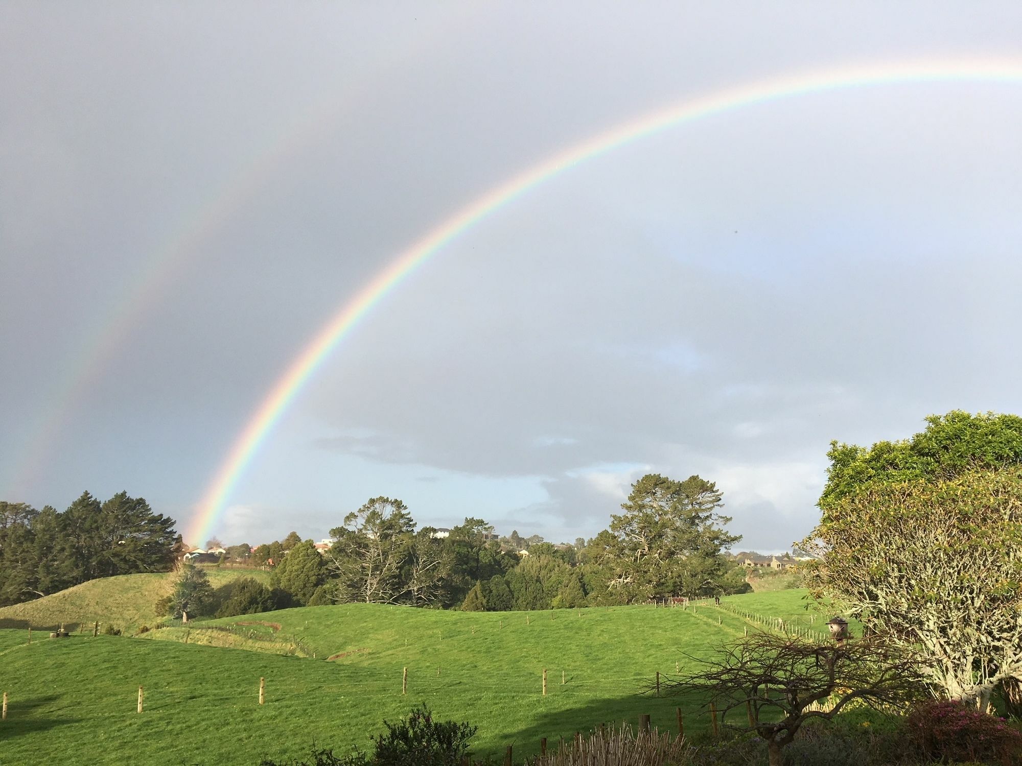 Pukeko Lodge Bnb New Plymouth Exterior foto